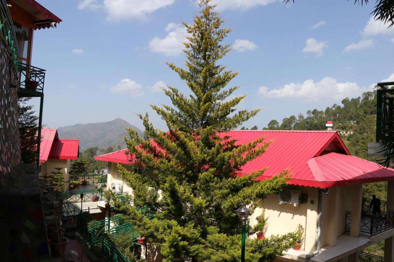 Maple Resort Chail Exteriör bild